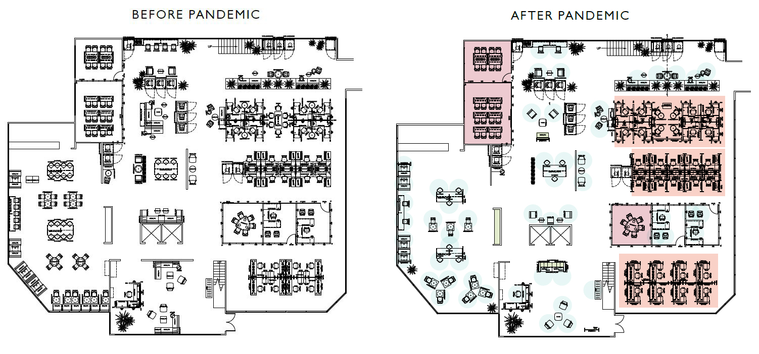 Before and After Pandemic Graphics-final-v2.jpg