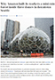 Why Amazon Built Its Workers a Mini Rain Forest Inside Three Domes in Downtown Seattle