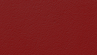 Paint_Cayenne_200x113px.jpg