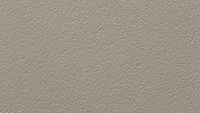 Paint_Champagne Metallic_200x113px.jpg