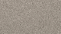 Paint_Champagne Metallic_200x113px.jpg