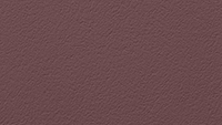 Paint_EarthenClay_200x113px.jpg
