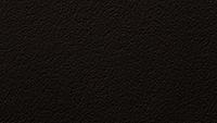 Paint_Espresso Metallic_200x113px.jpg