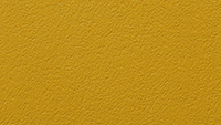 Paint_HoneyBee_200x113px.jpg