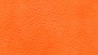 Paint_Nemo_200x113px.jpg