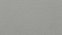 Paint_Starlight Silver Metallic_200x113px.jpg