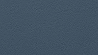 Paint_TwilightShadow_200x113px.jpg