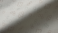 Ion_200x113px.jpg