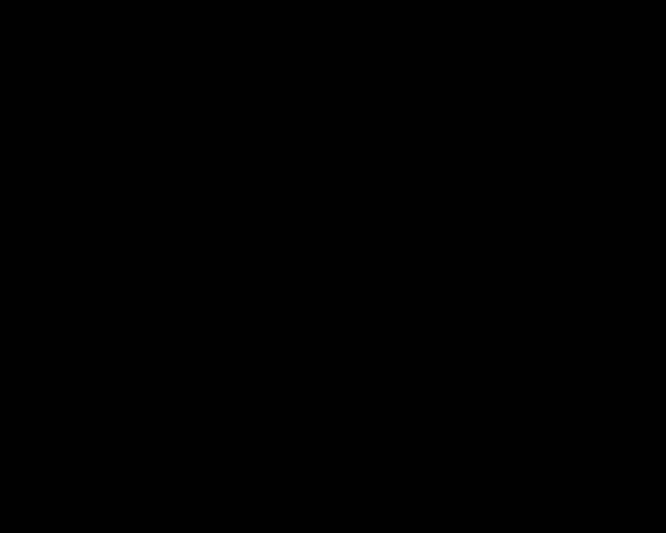 Phenolic Resin