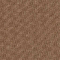 Zone_BrownSugar_1ZBR_tile_200x200px.jpg